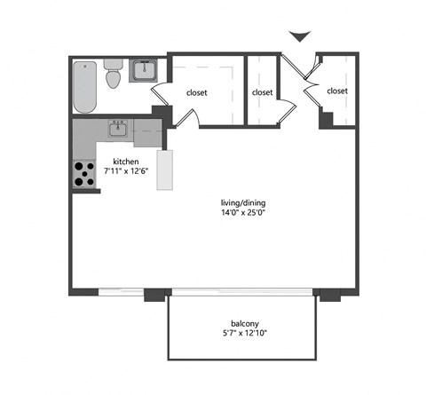 Floor plan for studio, 1 bath, 559 sqft